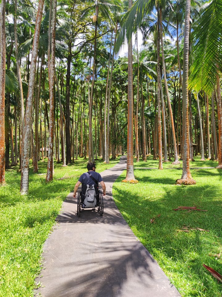 Homme en fauteuil roulant se baladant entre les palmeraies