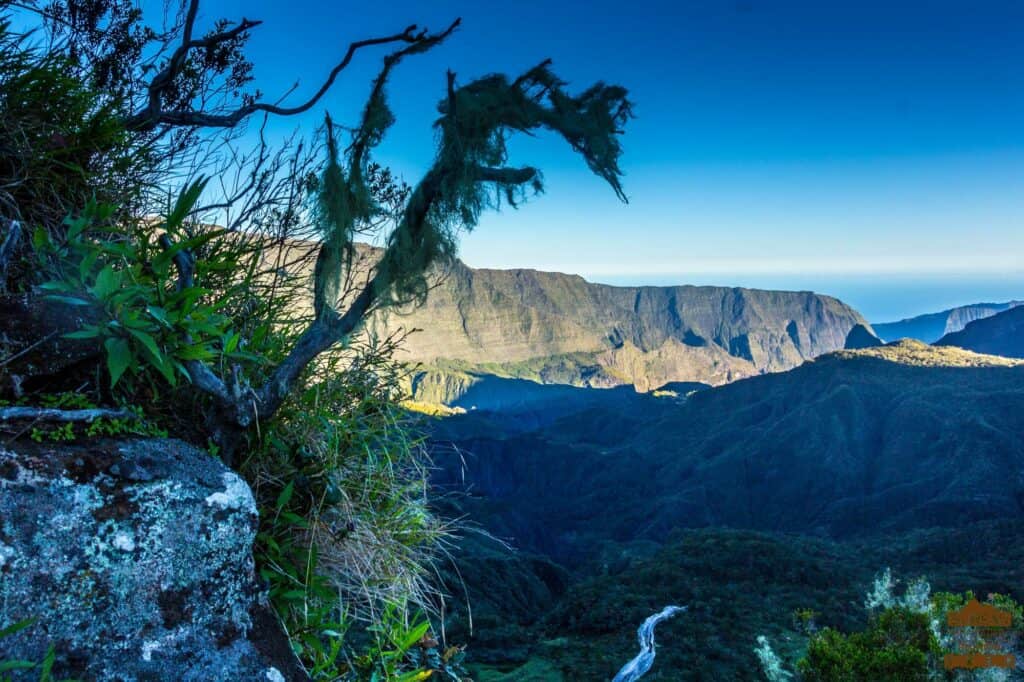 Paysage Réunion